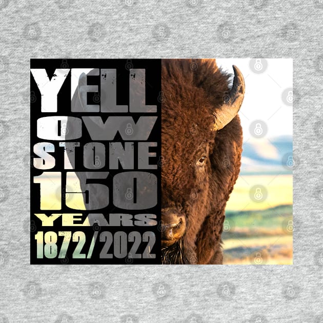 Bison in Nature Yellowstone 150 Year Celebration - Yellowstone 140 years by Smyrna Buffalo